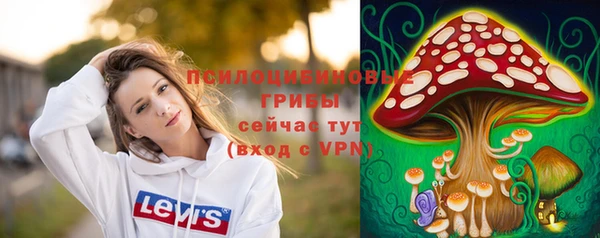 дживик Липки
